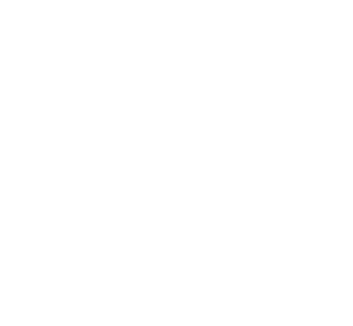 CCW Insurance LLC
