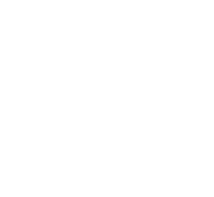 CCW Insurance - Logo 800 White